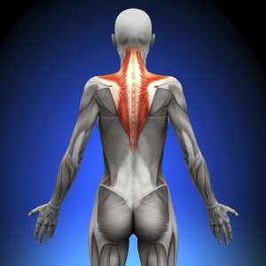 Sunday, December 13th, 2020